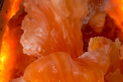 La lógica de los magmas, detalle